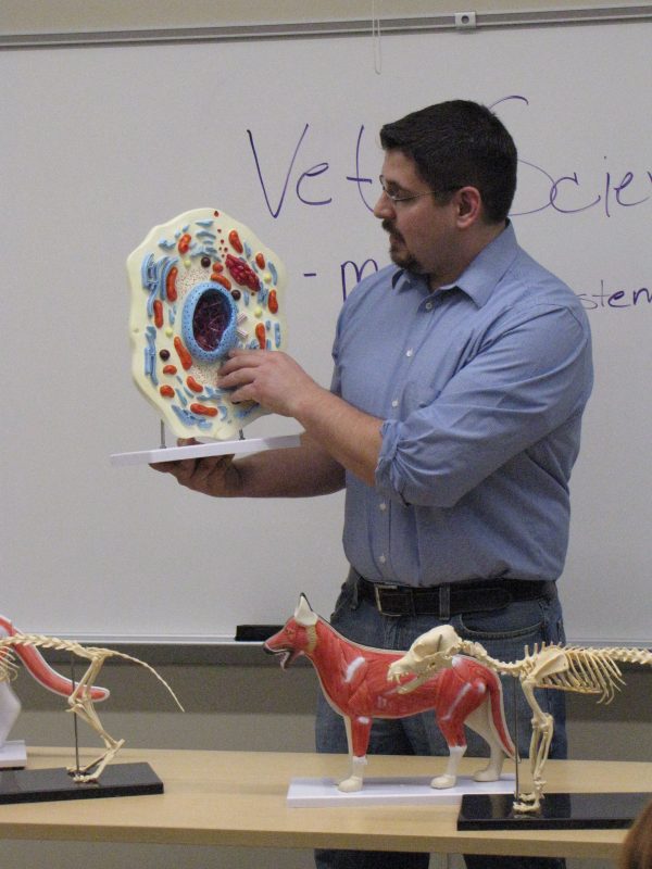 Modelo de Célula Animal - Image 2