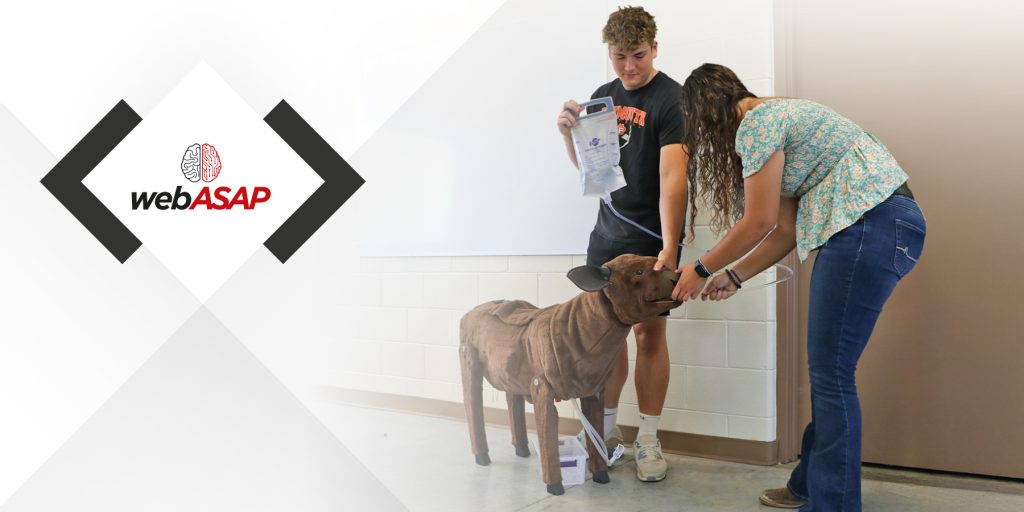 Medicina Veterinária Rural: conheça o simulador de bezerro