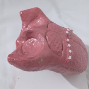 Peça Anatômica Língua