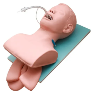 Cabeça de Intubação (Adulto)
