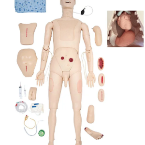 Manequim Bissexual com Órgãos Internos para Treino de Enfermagem (Adulto)