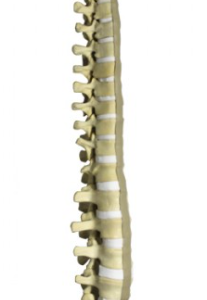 Kit Coluna Vertebral (24UN)