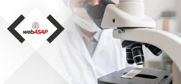 Quais são os tipos de microscópio biológico?