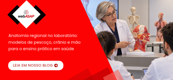 10 – 2026 – Blog 1 _ Anatomia regional no laboratório de saúde- modelos de crânio, pescoço e mão para o ensino prático 10 - 2026 - Blog 1 _ Anatomia regional no laboratório de saúde- modelos de crânio, pescoço e mão para o ensino prático