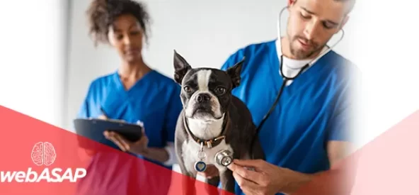 Anatomia veterinária: sua importância no estudo de animais de pequeno e grande porte