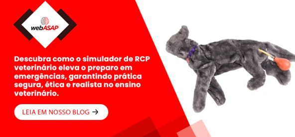 Banner Mobile (1) Banner Mobile (1)