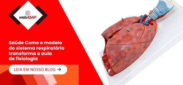 Banner Mobile (2) Banner Mobile (2)