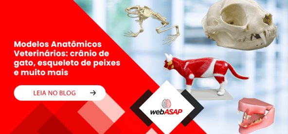 Banner Mobile Banner Mobile